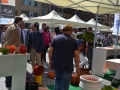 inauguracion-ceramiba (4)