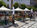 inauguracion-ceramiba (5)
