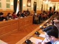 Constitución 11