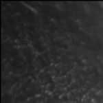 Melones en las gasolineras