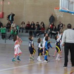 El CPD Bailén se proclama campeón de la I Concentración de Pequebasket