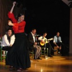 Flamenco en estado puro a través de la Peña El Puchero