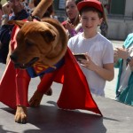 El sol se alía con Luajara para disfrutar del desfile de mascotas de Carnaval