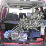 Cuatro bailenenses denunciados por capturar aves de manera ilegal