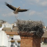 La torre de las Cigüeñas ya es más segura