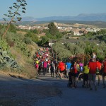 La Marcha por tu Salud reúne a casi 400 participantes