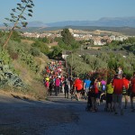 La Marcha por tu Salud reúne a casi 400 participantes