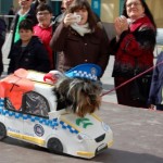 Más de una veintena de mascotas participan en el desfile de Carnaval