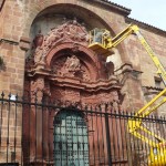 Las palomas en el punto de mira del ayuntamiento