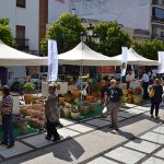 CERAMIBA ha sido una `mini revolución´