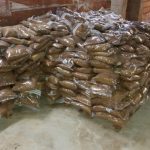 Trece personas investigadas por 900 kilos de tabaco