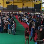 8.000 visitas avalan el éxito de la Feria de Coleccionismo y Antigüedades